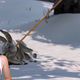 Image for article titled For The Streamer From The Last Of Us Bunny Meme, Virality Led To Death Threats Over Things She Never Did